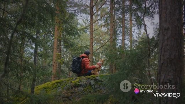 Что делать если потерялся в лесу