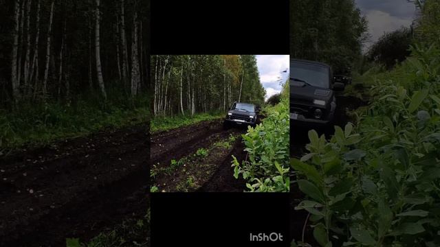УАЗы и турбо Нива в торфе