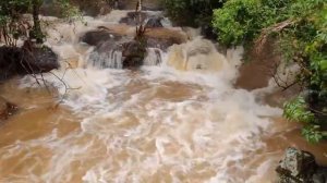 Iguazu Falls, Cataratas do Iguacu, Cataratas del Iguazu (Argentina) (1)