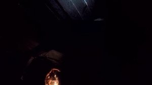 НОВОСИБИРСКИЙ ЗООПАРК  КОМНАТА СТРАХА!!!