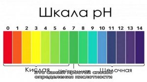 Определение уровня кислотности желудочного сока