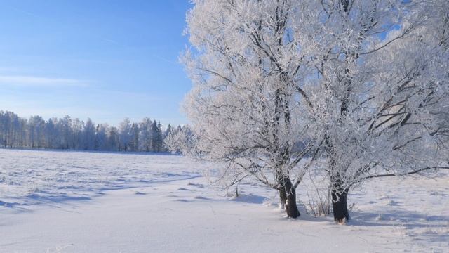 Расслабляющие звуки зимы. Ветер и хруст снега под ногами. Расслабьтесь и наберитесь энергии