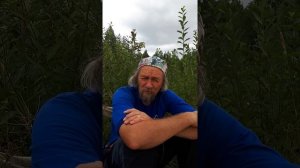 Александр Советов про ВРСП