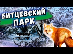 Битцевский лесопарк. История и интересные факты