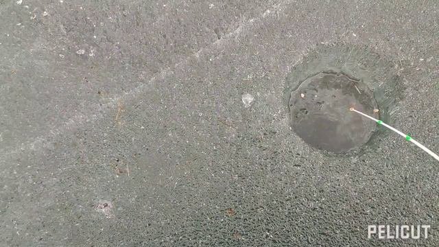 Касли и чебаки 23