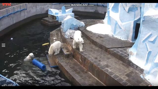 Утро начинается с игры 24.06.2020 смотреть онлайн