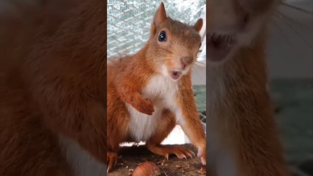 1000002320.mp4 смотреть онлайн