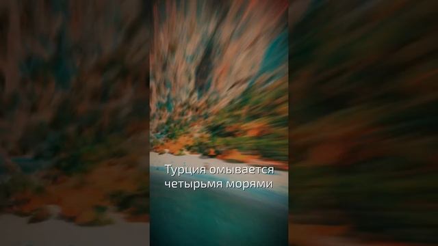 Турция омывается четырьмя морями  - интересные факты о Турции