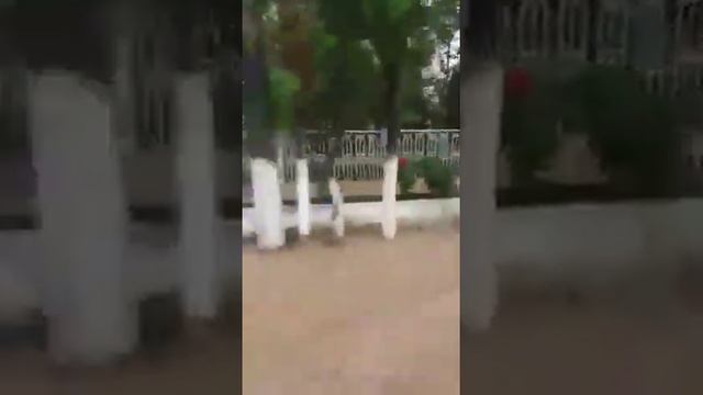 Киргизтан.Центре города Новкат.2019 смотреть онлайн