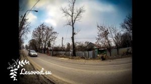 Спил деревьев в стесненных условиях
