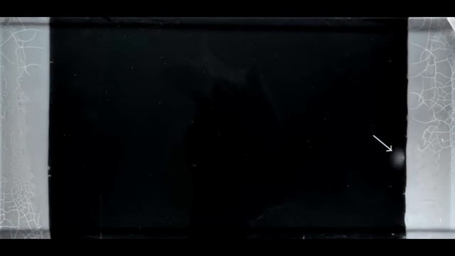 Эволюция бактерий в гигантской чашке Петри смотреть онлайн