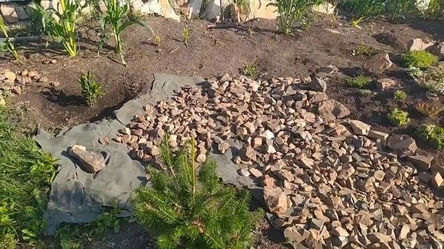 КАК СДЕЛАТЬ РОКАРИЙ У СЕБЯ НА УЧАСТКЕ с нуля