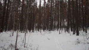 Ориентирование на местности зимой. В тайге. Часть 1