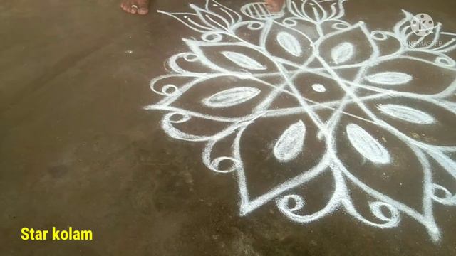 how to create beautiful trendy star and lotus making kolam for beginners/big star kolam/Friday kola смотреть онлайн