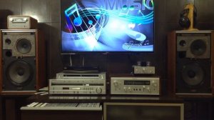 SONY SS-2800 Акустика.