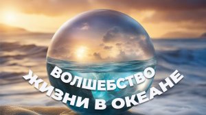 Волшебство жизни в океане