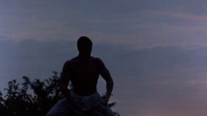 Ван Дамм - Кикбоксёр #jeanclaudevandamme #жанклодвандамм #kickboxer #кикбоксинг