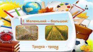Проверка слов с парными согласными в корне и на конце слов