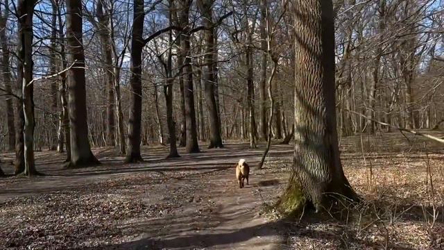 Про развязку Хаммера ! смотреть онлайн