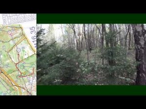 Спортивное ориентирование (Headcam orienteering) - Кубок Смоленска, 4 этап - 04.10.20