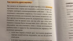 Как противостоять дрессировке нарцисса. Токсичные люди. Шахида Араби.