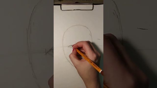 Портрет. Пропорции лица.