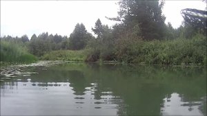 сплав по реке "НЕЯ" в Костромской обл.
