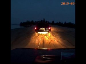 Рекс на Волге. Сентябрь 2019