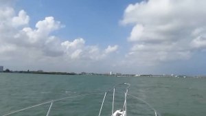 Bayliner 2556