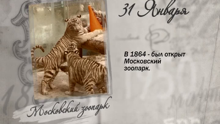 31 января