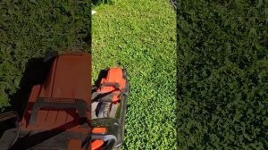 Газонокосилка Black+Decker (32) BEMW451