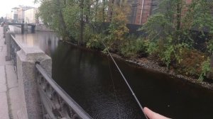 #210 ТРУСЫ на Микро Джиг | DUO TETRA WORKS REACT 55 |