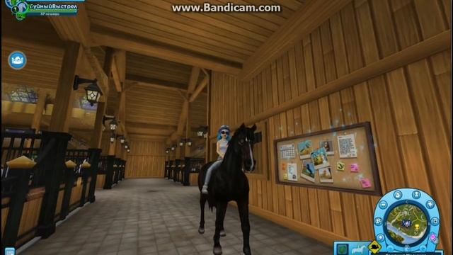 покупка лошади породы английская чистокровная! смотреть онлайн