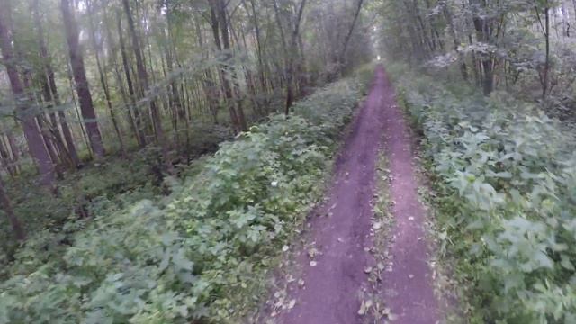 По грибы по Мурманке 800 метров. 12 июля 2020г. смотреть онлайн