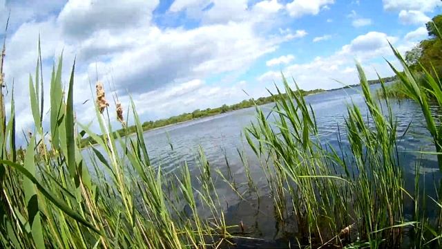 Рыбалка на реке. Уловистое место. смотреть онлайн