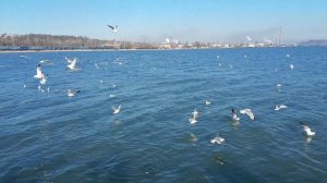 Мариуполь море 2021