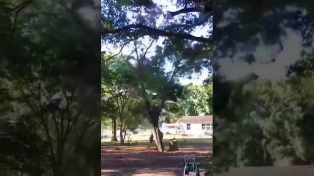 спецы