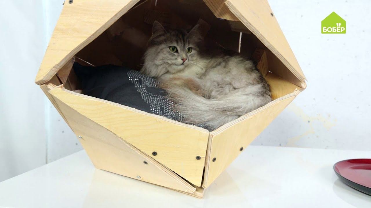 Как сделать домик для кошки / Кошачья будка из фанеры / Домик для пушистого друга своими руками