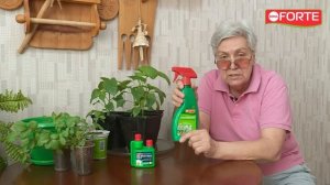 Борьба с насекомыми дома и на даче. Натуральные средства на пиретруме Bona Forte.