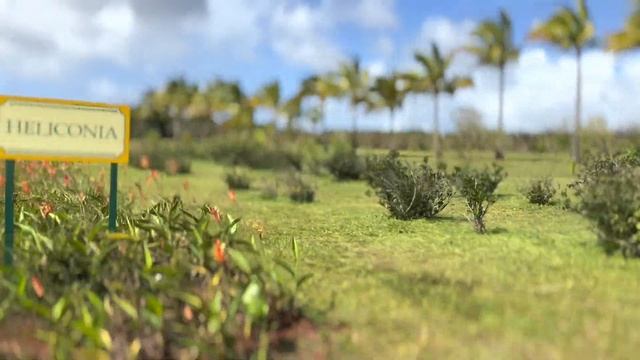 Экскурсия в Dole plantation с Эмилем и двумя Камиллами смотреть онлайн