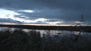 ХОРОШИЙ ЛЁТ НА БЫСТРОЙ ЗОРЕ. ОХОТА НА УТКУ