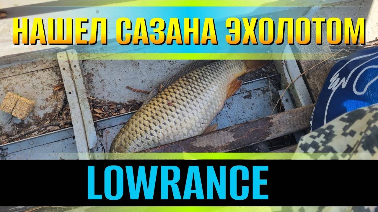 Нашел много рыбы с эхолотом LOWRANCE HOOK REVEAL 7 TS Первый сазан 2024 на жмых Ахтуба Астрахань. смотреть онлайн