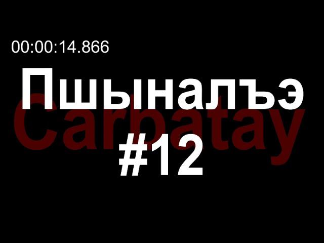 Пшыналъэ #12 | Хьэкӏуакӏ смотреть онлайн