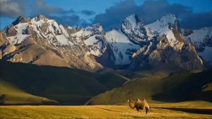 Ай-нуру тобу - Берметим