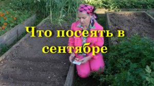 Что посеять в сентябре