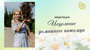 Исцеление домашнего питомца. Медитация