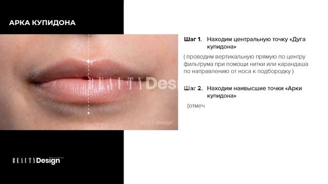 10 шагов для идеального построения эскиза губ смотреть онлайн