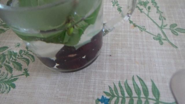 Как выбирать, готовить и хранить кизил смотреть онлайн