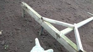 Сажаем картошку в теплицу