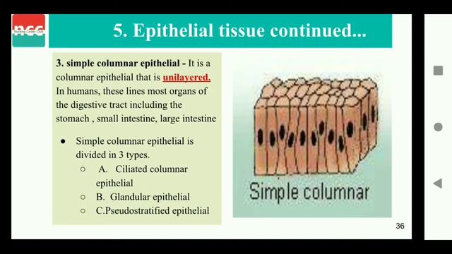 DMLT 1.1.1 – Anatomy and Physiology